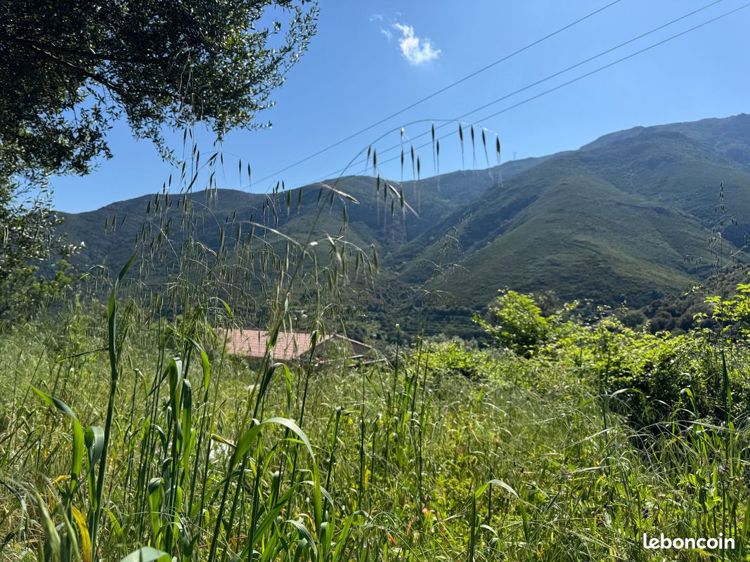 Terrain 623 m² Occhiatana · 118 000 €