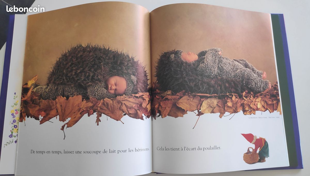 Livre Photos Anne Geddes "Le Jardin des fées" (image 3)