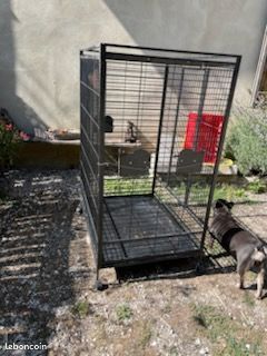 Cage à perroquet (image 2)