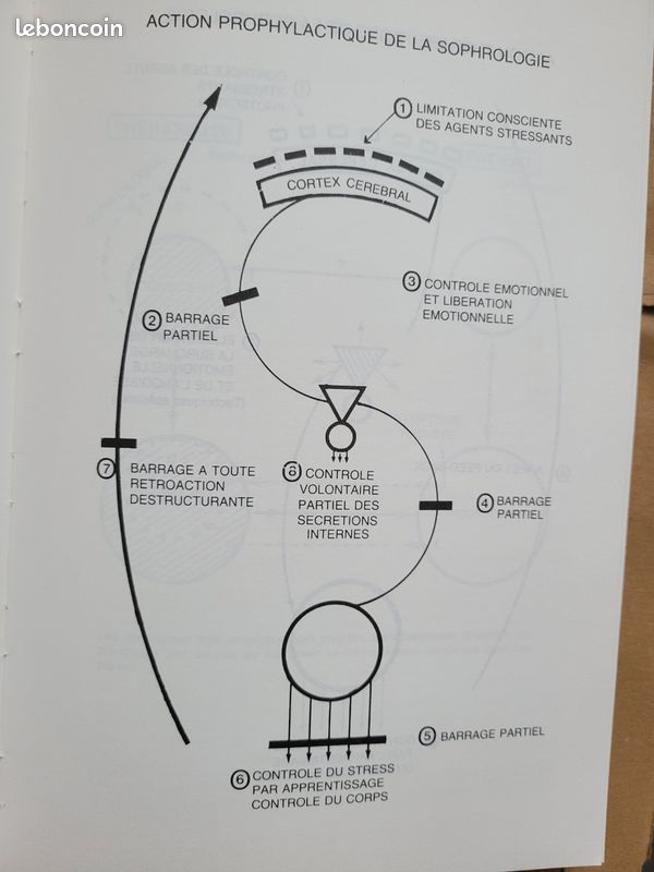 Traite de sophrologie vol 2,abresol (image 3)