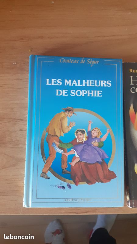 Les malheurs de Sophie (image 1)