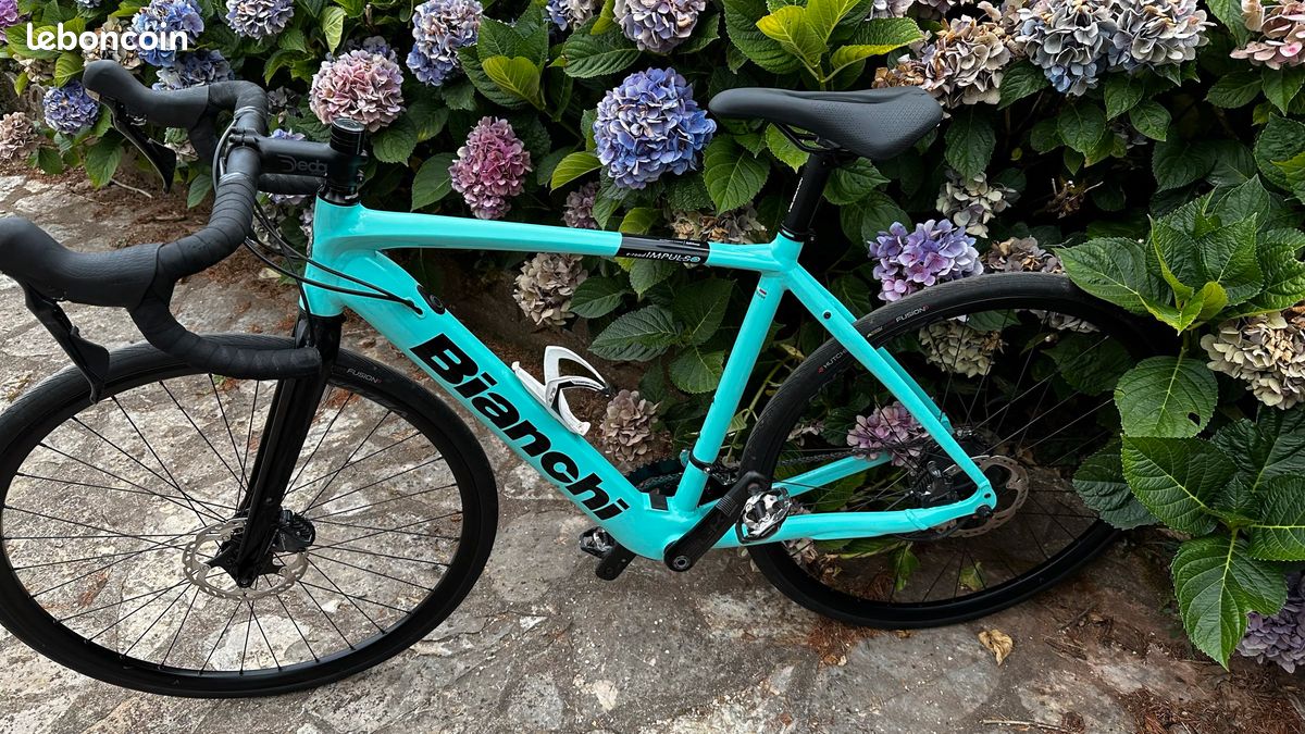 Vélo route électrique Bianchi (image 3)