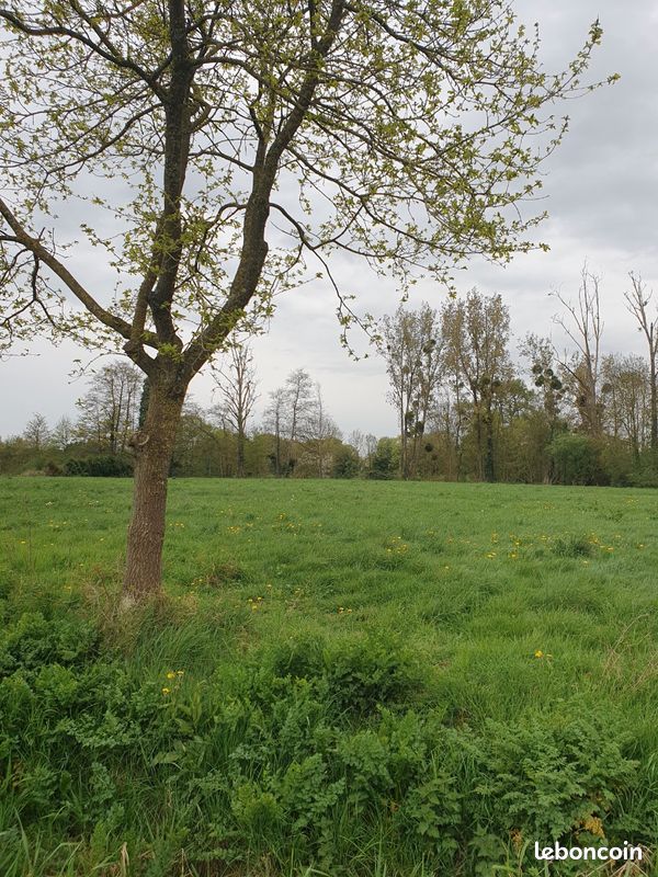 Terrain de loisirs · à Amanlis · 12 320 €
