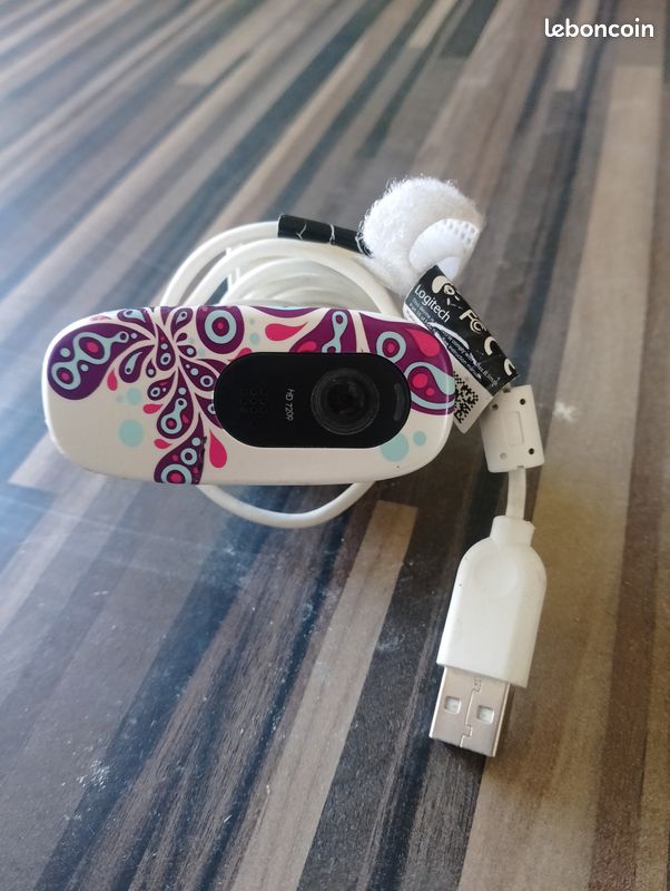 Webcam (image 1)