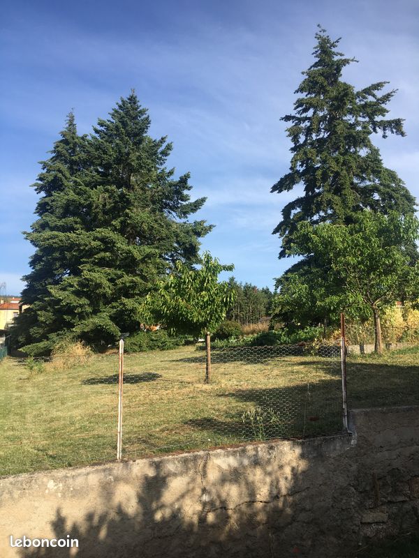 Terrain a contruire · à Saint-André-d'Apchon · 79 000 €
