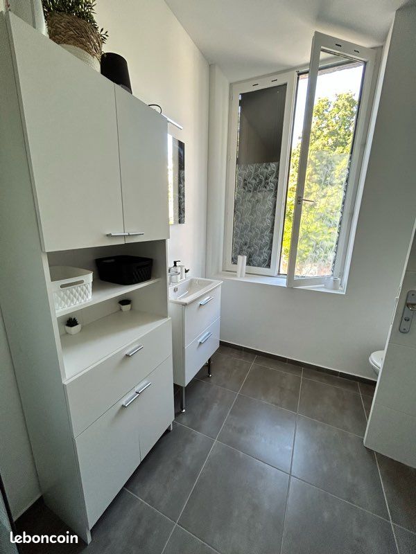 Loue appartement meublé - La Mulatiere (image 3)