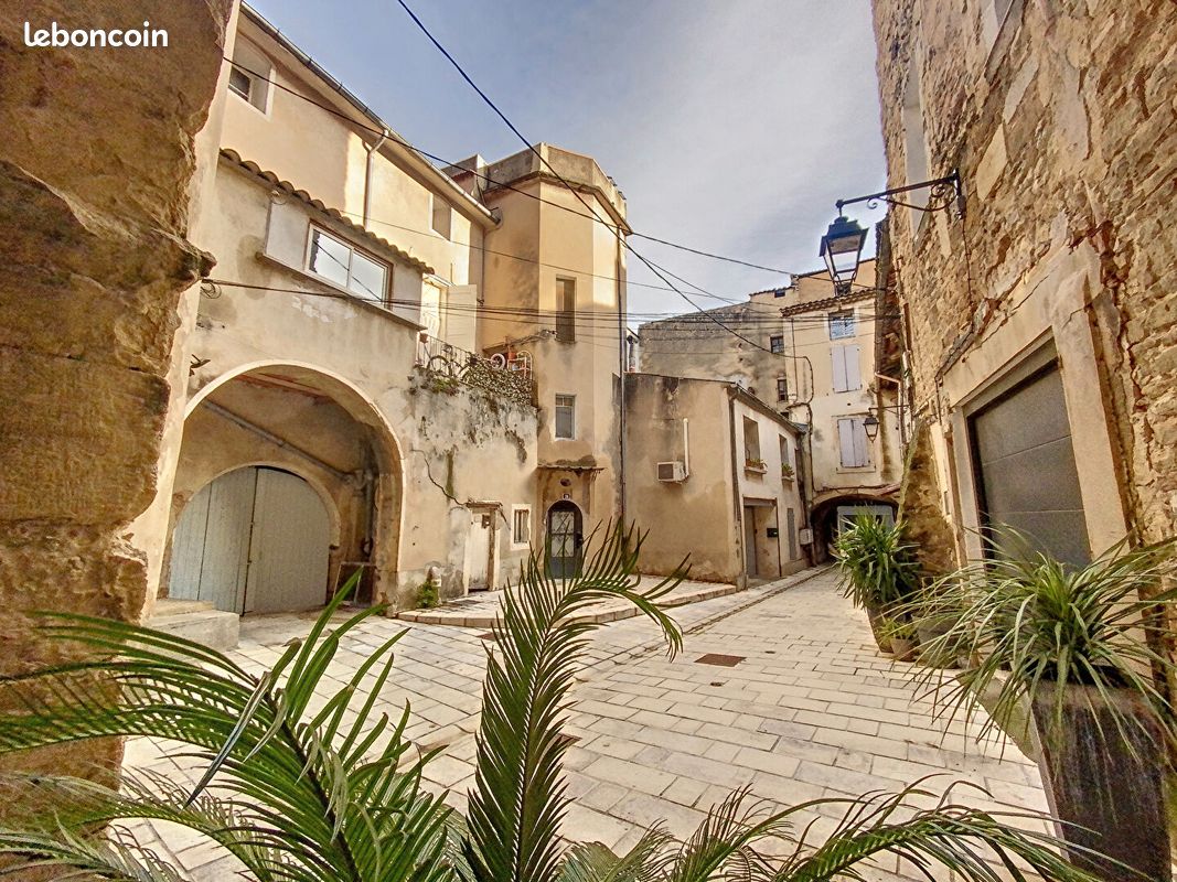 Local commercial 11 pièces 215 m²