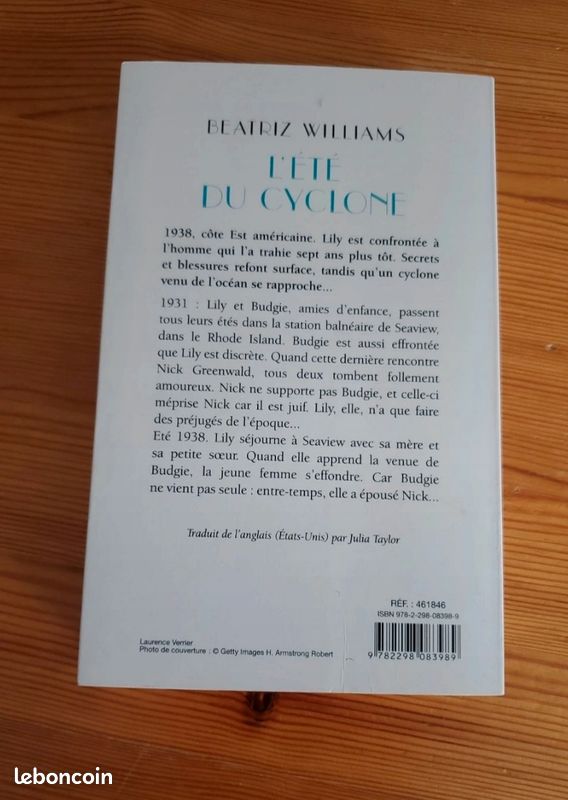 Roman L'été du cyclone (image 2)
