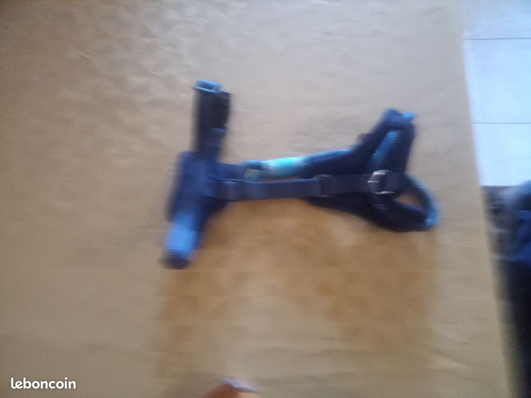Harnais pour chien (image 1)