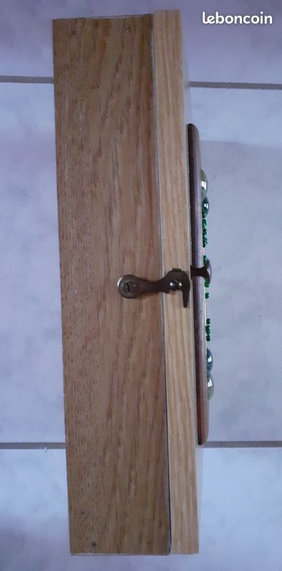 Boîte à clefs exotique : gecko (création artisanale) (image 10)