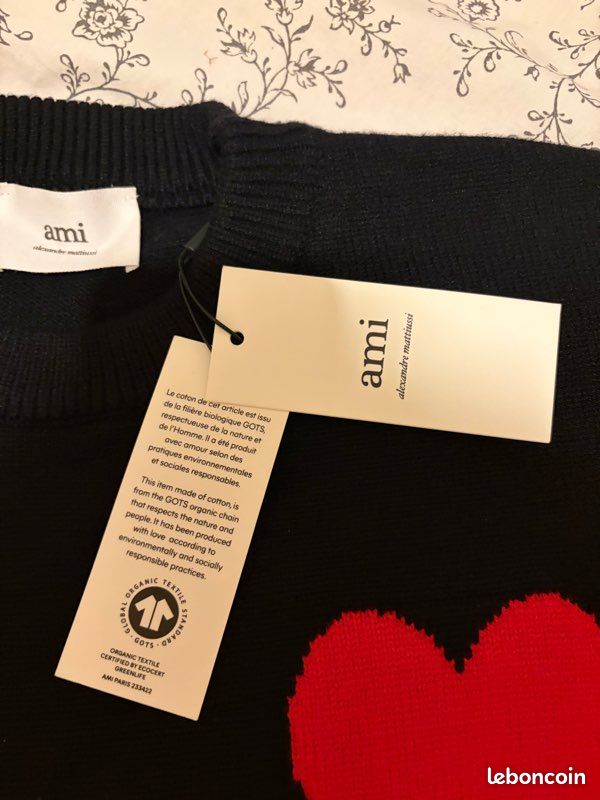 Pull ami Paris (image 2)