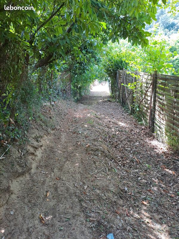 Terrain de loisirs · à Contes · 50 000 €