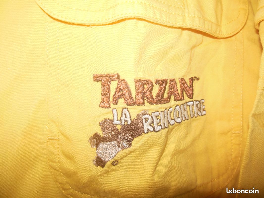 Lot de 3 articles Disney collector : Indiana Jones et Le Temple du Péril à l'envers - Tarzan la Rencontre (image 7)