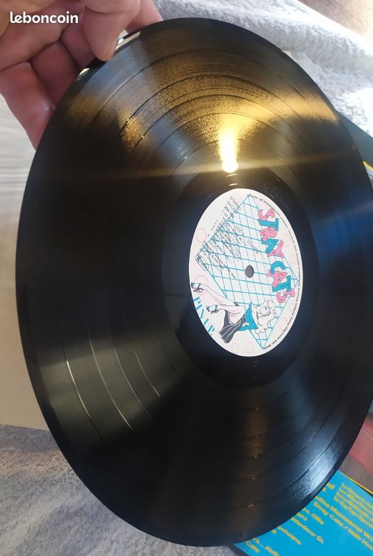 Stray cats et Traffic (image 4)