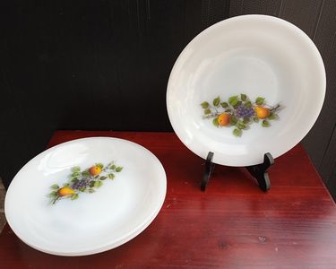 ASSIETTES dessert ARCOPAL FRANCE décor Fleurs – 6 de 19 cm de diamètre - France