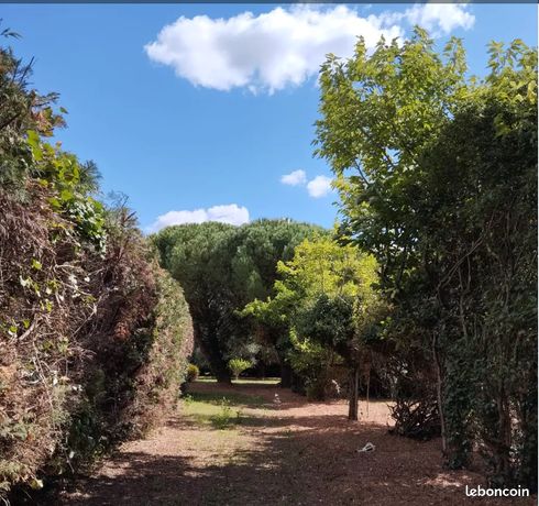 Propriété 6 pièces 159 m²