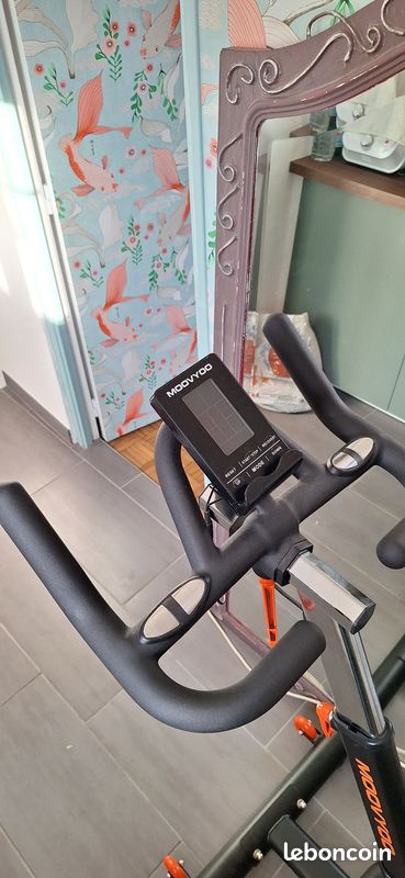 Galibier Velo Moovyoo Vélo Appartement Moovyoo Moovyoo Eco Bike
