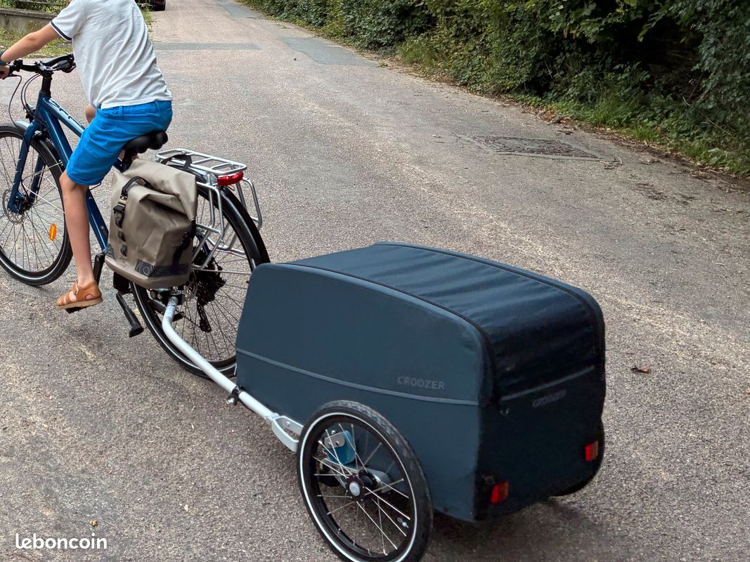 Croozer Cargo Tuure - Transportanhänger | Versandkostenfrei