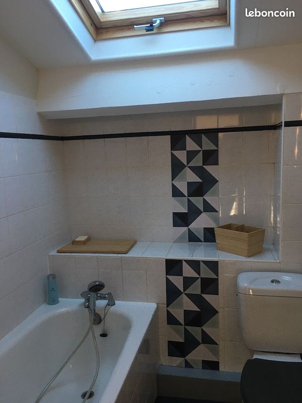 Location appartement loft au centre de Montpellier (image 9)