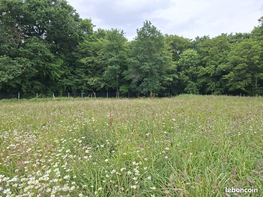 Terrain à bâtir de 600 m² à GOURS (33) · 24 000 €