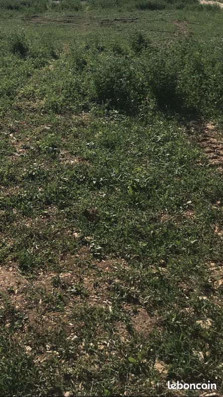 Terrain 658 m² · à Doix lès Fontaines · 26 500 €