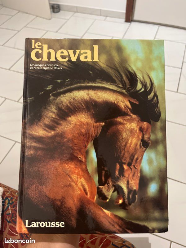 Le cheval de Jacques Sevestre et Nicole Agathe Rosier (image 1)