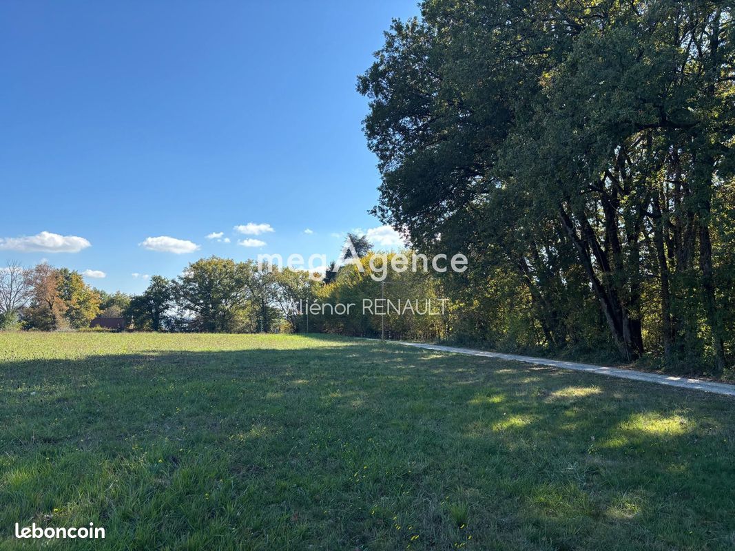 Terrain 24541 m² SAINT-LEON-SUR-VEZERE (image 3)