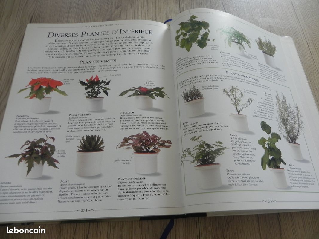 Le Grand livre de la décoration (NB6) (image 10)