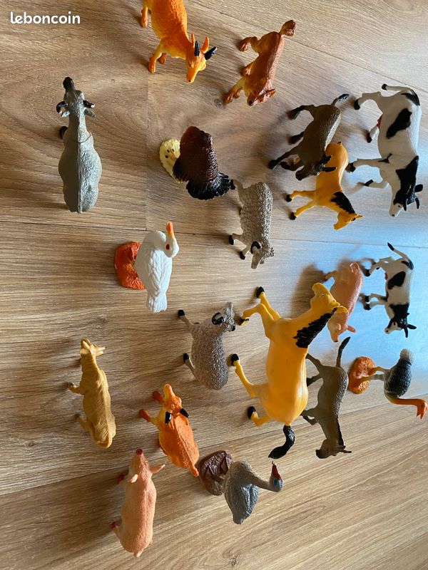 Animaux (image 1)
