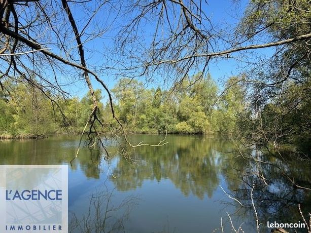 Terrain 20421 m² CHAVIGNON