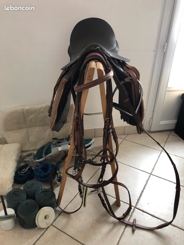 Équipement cheval (image 2)