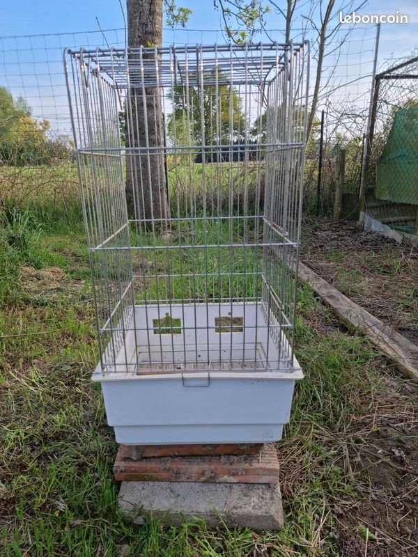 Cage (image 1)