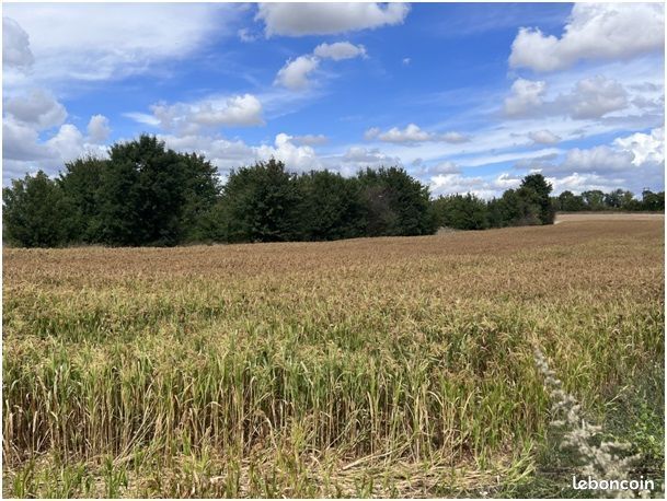 Terrain 427 m² Gond Pontouvre · à Gond-Pontouvre · 37 000 €