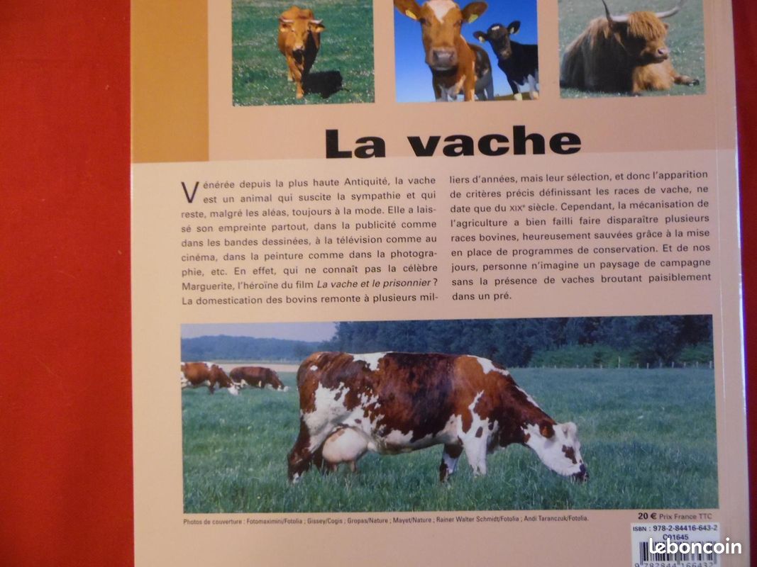 La Vache -Dr Alain FOURNIER (image 2)
