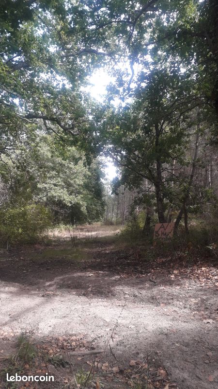 Terrain forestier · à La Clotte · 60 000 €