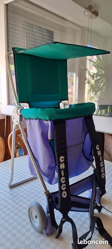 Chicco Trotteur Pousse Pousse BÃ©bÃ© Porteur Pousseur Pousseur