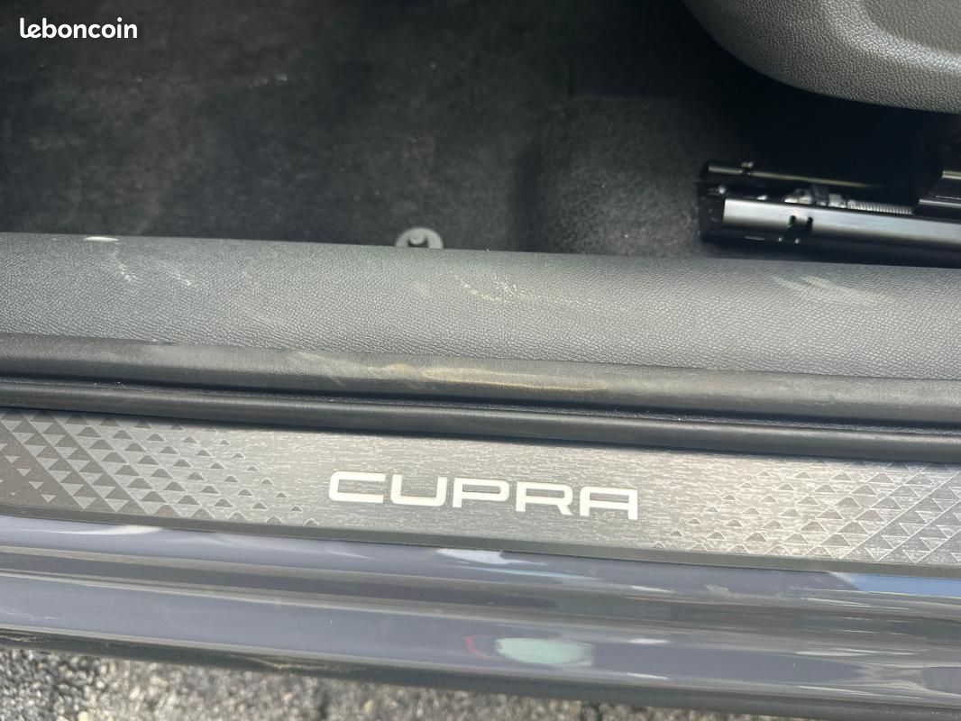 Cupra Formentor 2.0 TDI 150 ch DSG7 V (image 12)