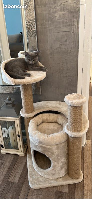 Arbre à chat neuf (image 1)