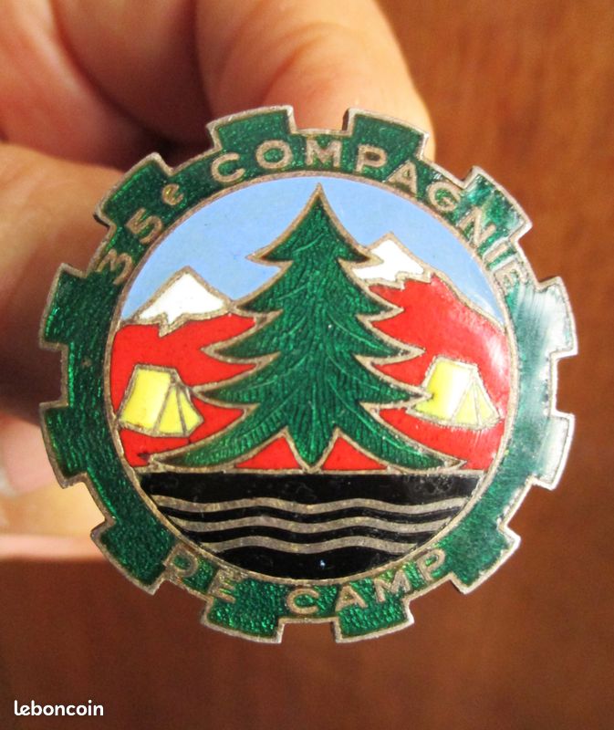 INSIGNE LEGION. 38 CIE DE CAMIONS BENNES DRAGO OM VERT FONCE