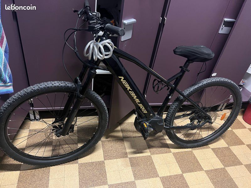 Vélo Électrique (image 1)