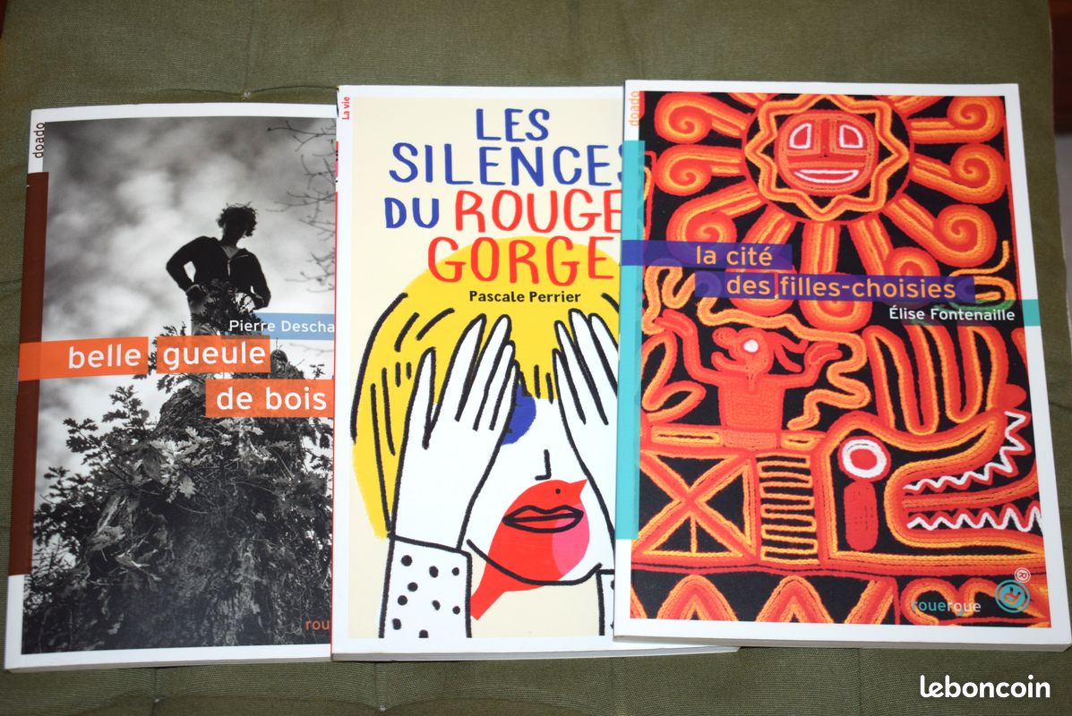 L89 - à partir de 12ans : 3 romans (Les silences du rouge-gorge + 2 romans de la collection " doado " des éditions Roueroue) (image 1)