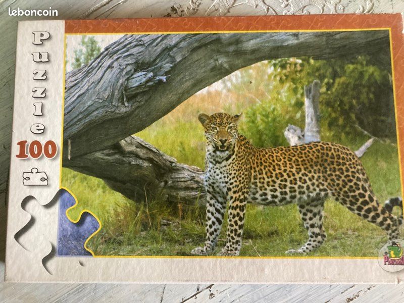Puzzles et jeux (image 7)