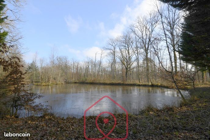 Terrain 129230 m² NOUAN LE FUZELIER