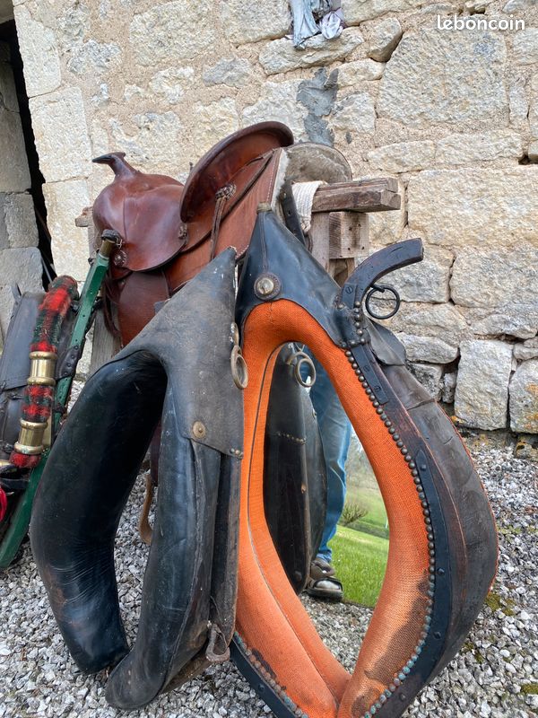 COLLIER CHASSE WESTERN DELUXE - Le Monde du Cheval