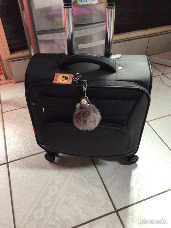 Vends trolley acheté à bureau vallée très bon état , peu utilisé, chargeur intégrée (image 1)