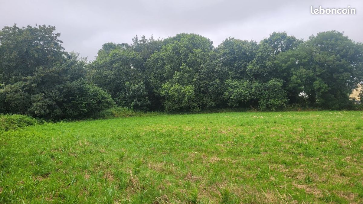 Terrain 459 m² Taule · à Taulé · 50 031 €