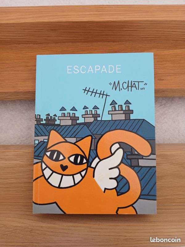 Livre mr chat artiste (image 2)