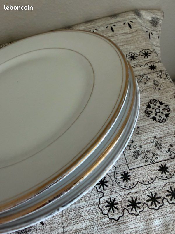 Assiette Pâtes et Émaux de Limoges (image 4)