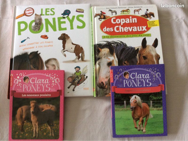 Lot de 4 livres (image 1)