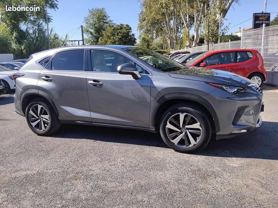 Lexus NX 300H 4WD LUXE (image 3)